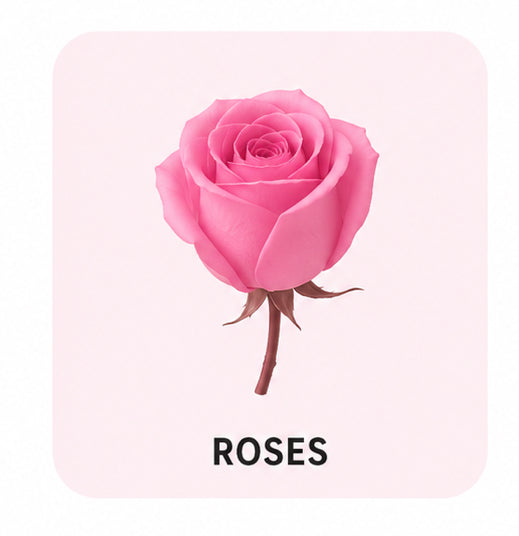 Roses