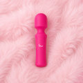 Fairy Wand